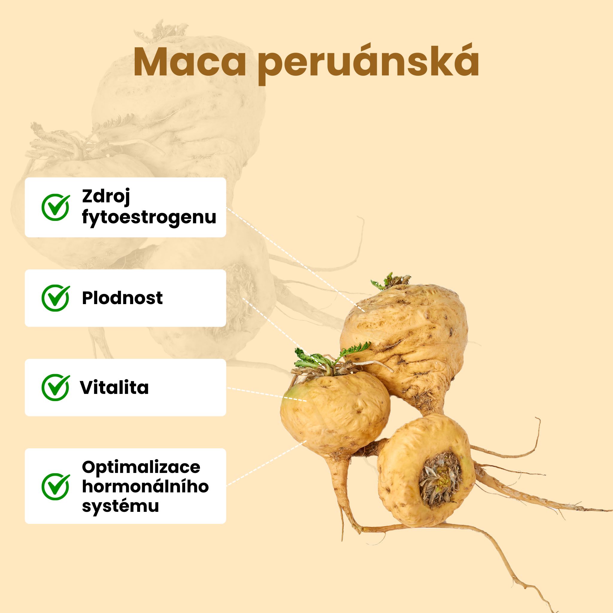 Maca peruanska